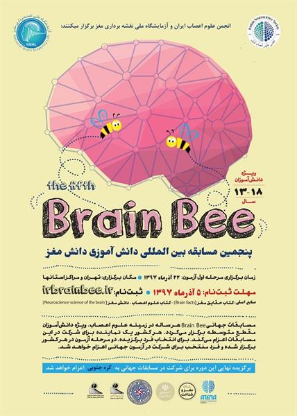پنجمین دوره مسابقات دانش آموزی "دانش مغز " Brain Bee " در کشور برگزار می شود.