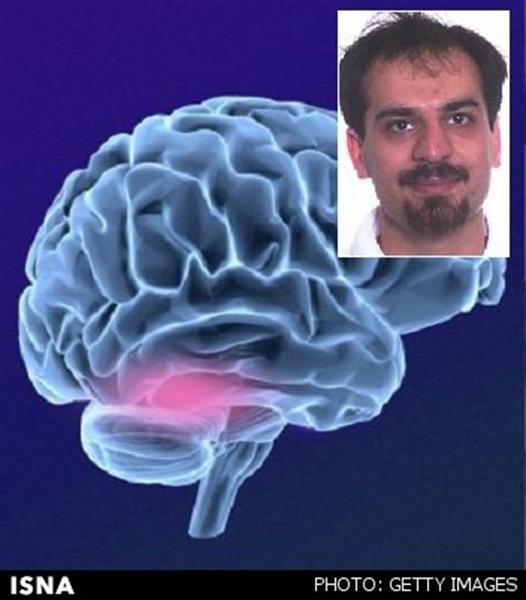 حل معمای چگونگی تشخیص چهره توسط مغز به رهبری دانشمند ایرانی